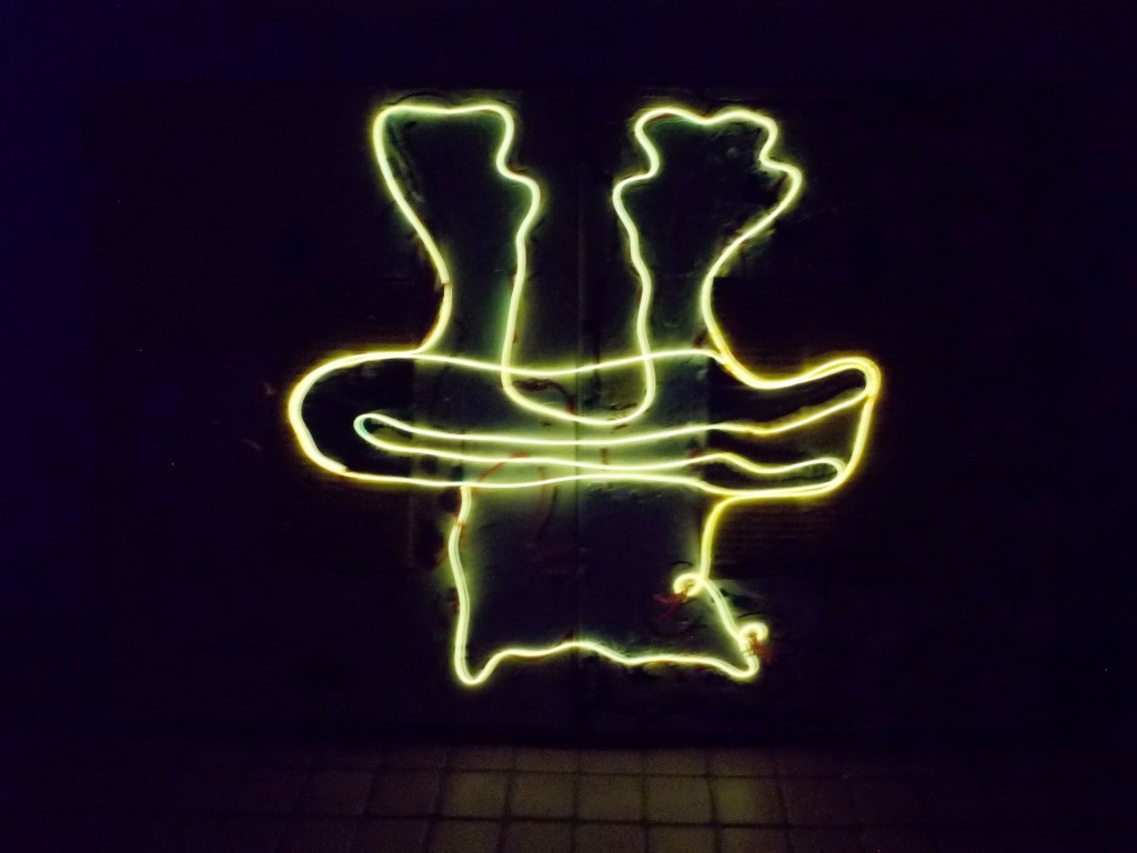 SUSAN PELISH – SOUTH FLORIDA ARTIST