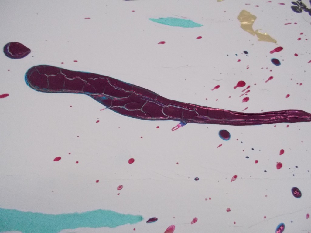 SUSAN PELISH – SOUTH FLORIDA ARTIST