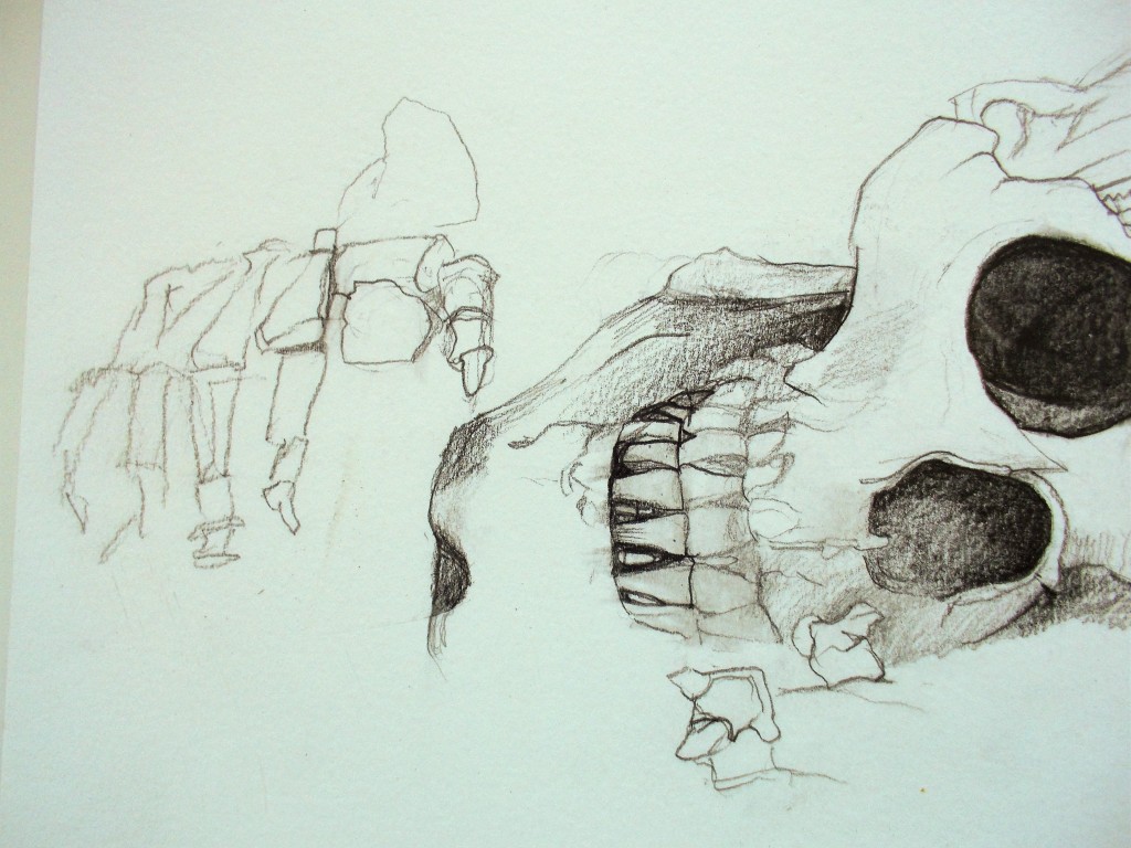 SUSAN PELISH – SOUTH FLORIDA ARTIST