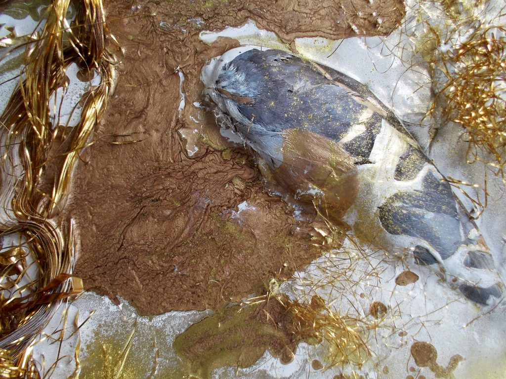 SUSAN PELISH – SOUTH FLORIDA ARTIST