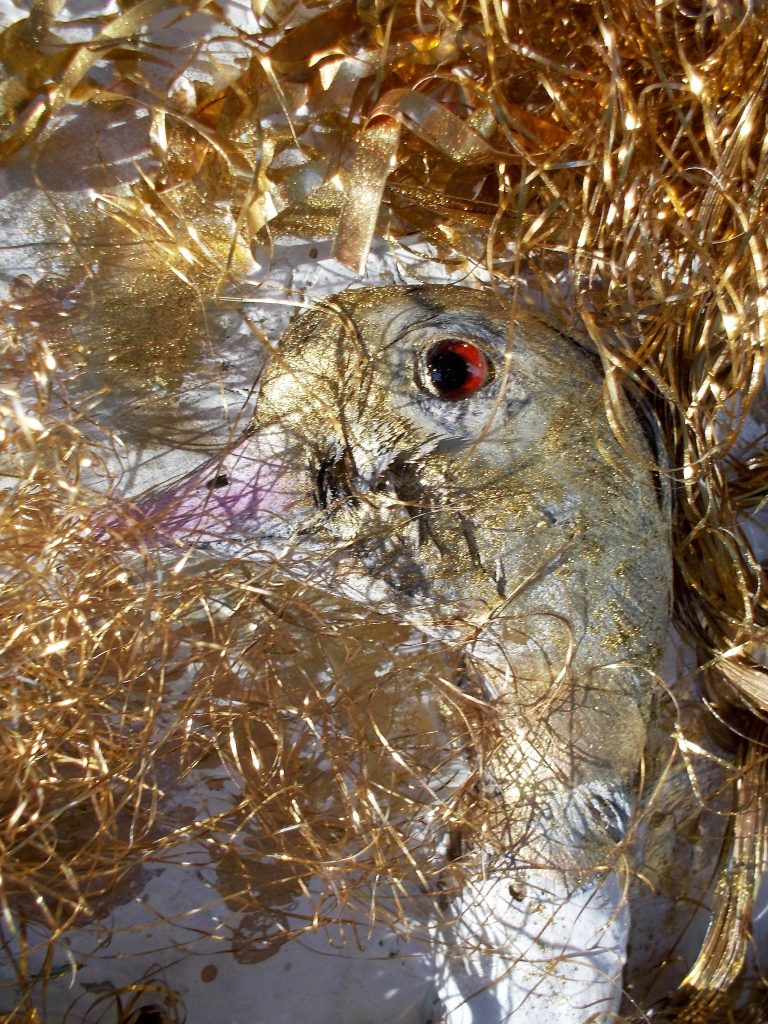 SUSAN PELISH – SOUTH FLORIDA ARTIST