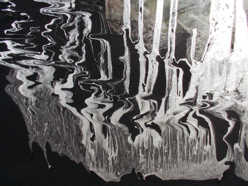 SUSAN PELISH – SOUTH FLORIDA ARTIST