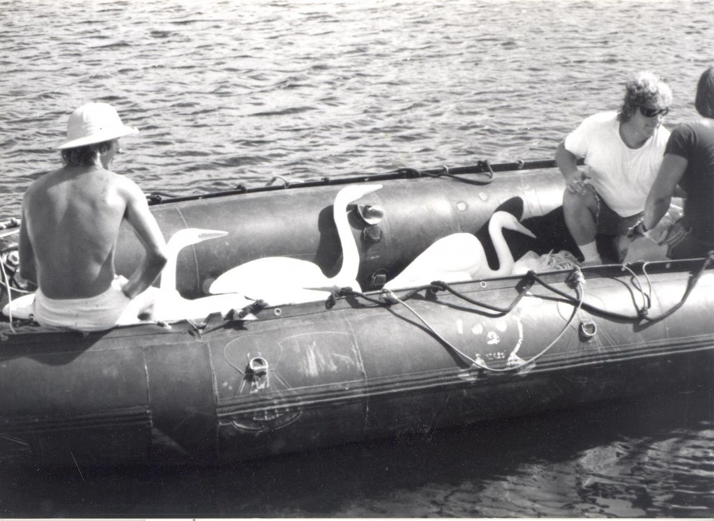 SUSAN PELISH – SOUTH FLORIDA ARTIST