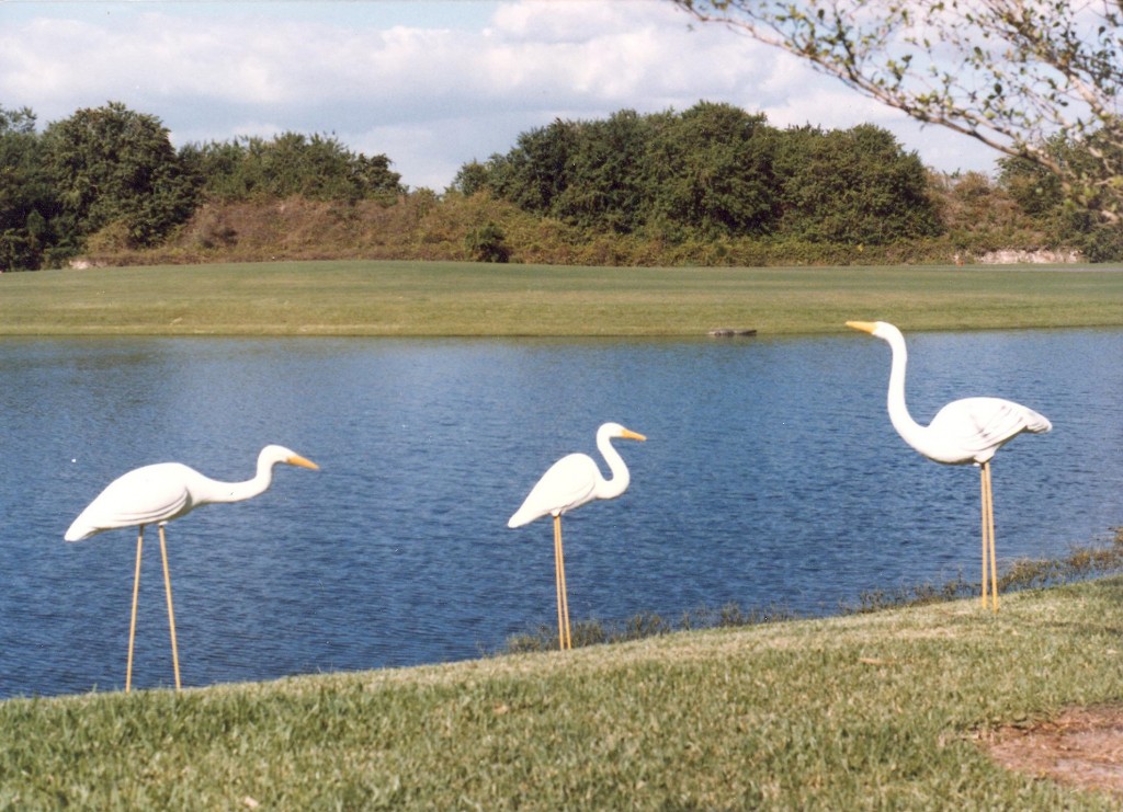 SUSAN PELISH – SOUTH FLORIDA ARTIST