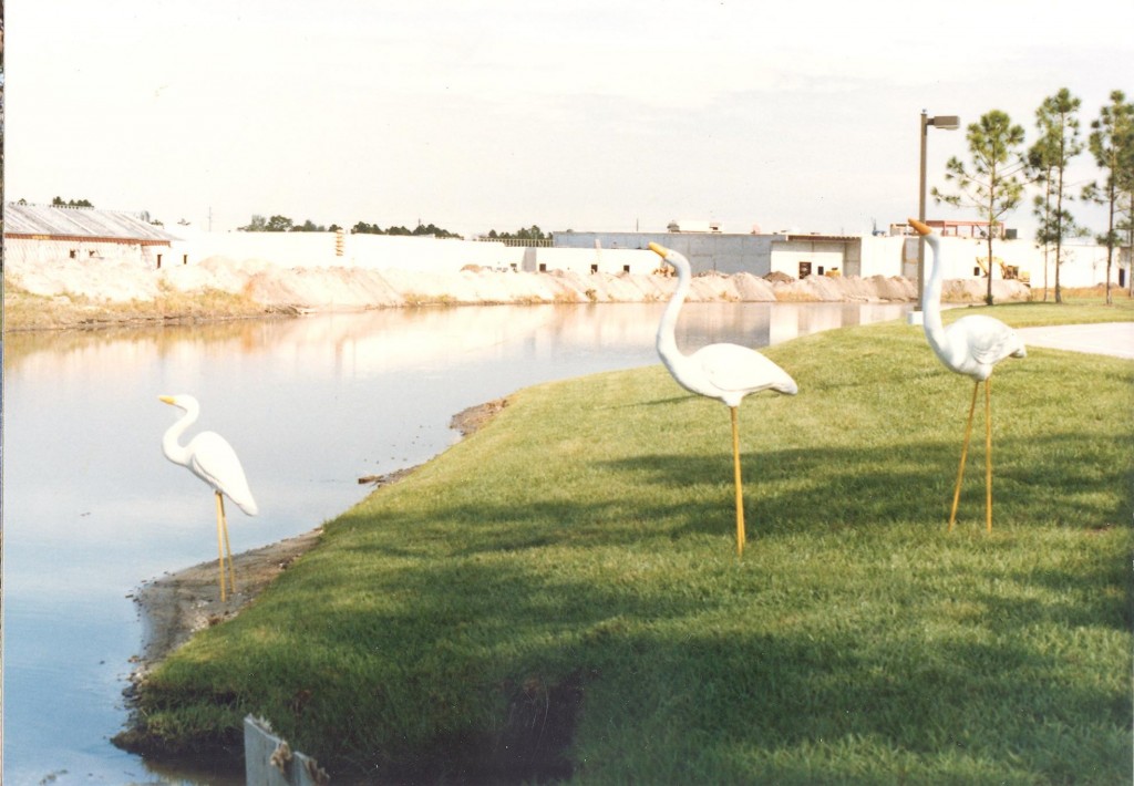 SUSAN PELISH – SOUTH FLORIDA ARTIST