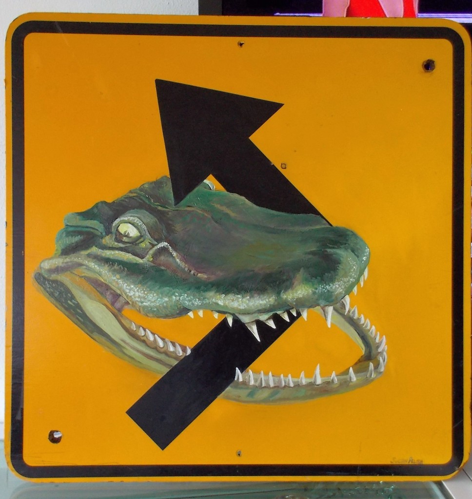 SUSAN PELISH – SOUTH FLORIDA ARTIST