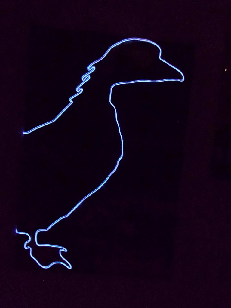 SUSAN PELISH – SOUTH FLORIDA ARTIST