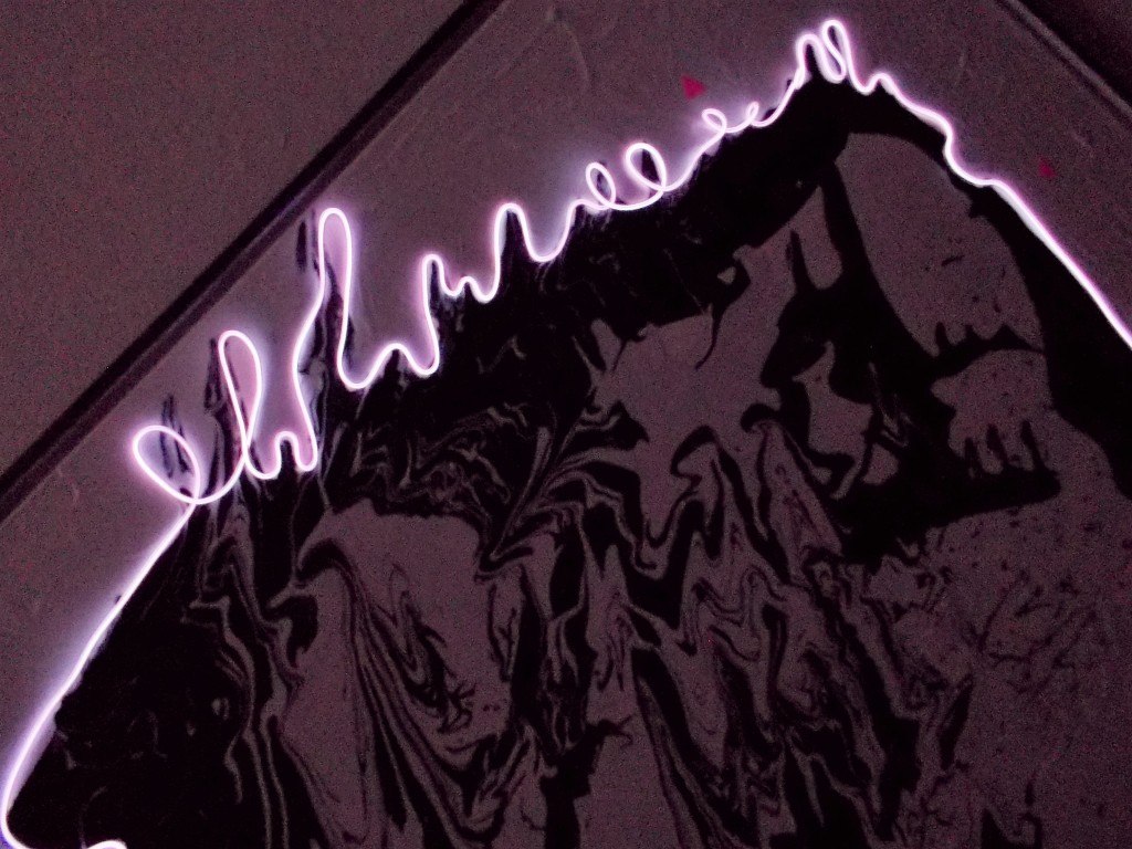 SUSAN PELISH – SOUTH FLORIDA ARTIST