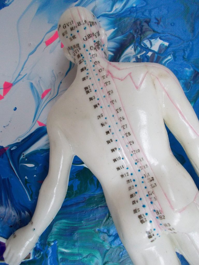 SUSAN PELISH – SOUTH FLORIDA ARTIST