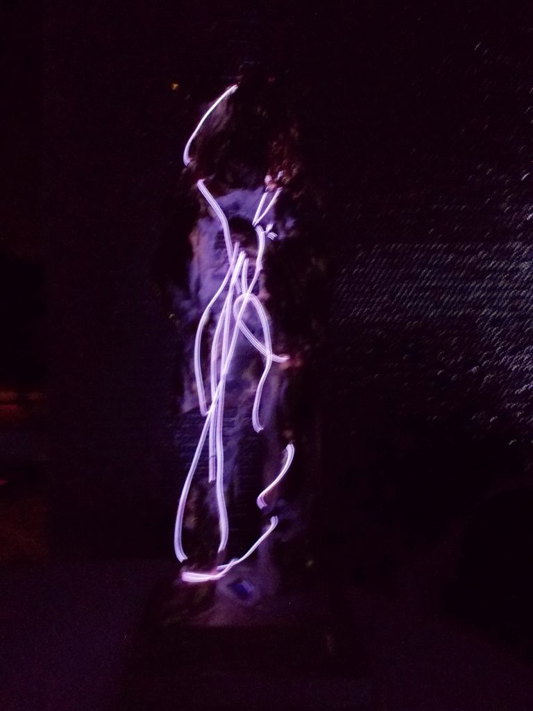 SUSAN PELISH – SOUTH FLORIDA ARTIST