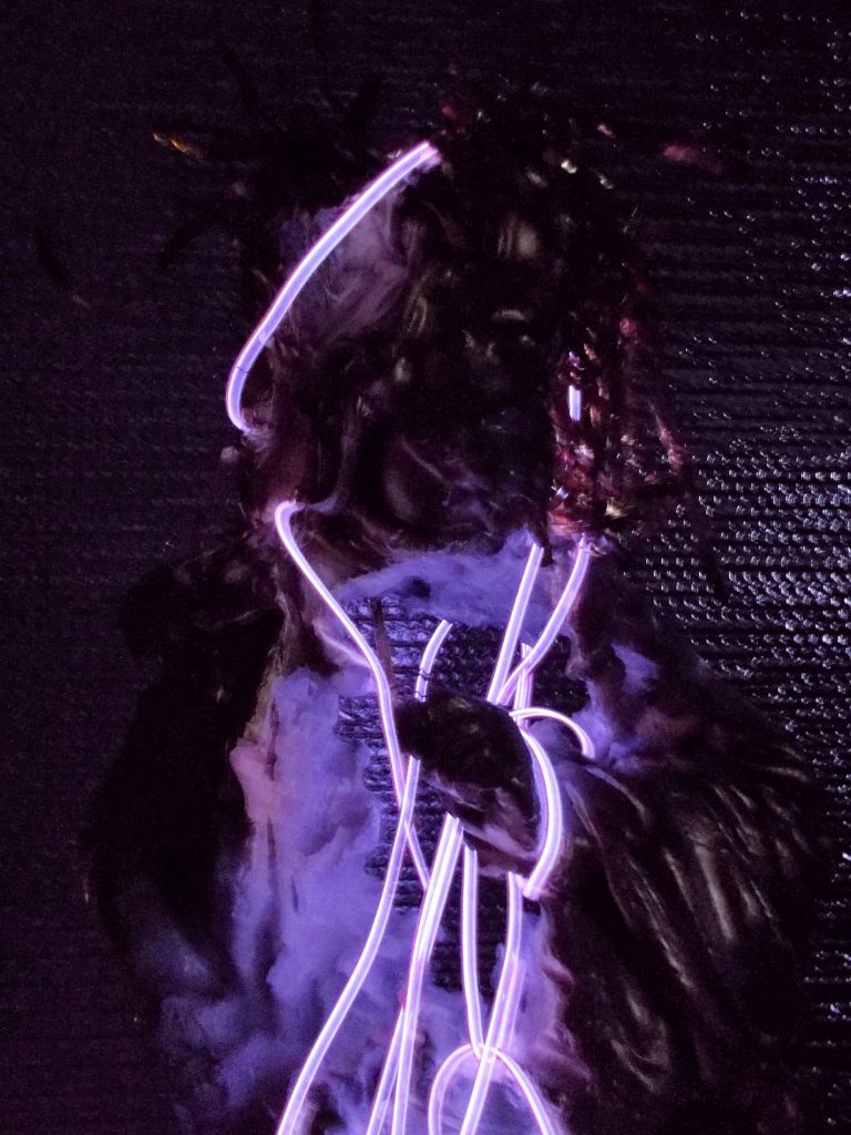 SUSAN PELISH – SOUTH FLORIDA ARTIST