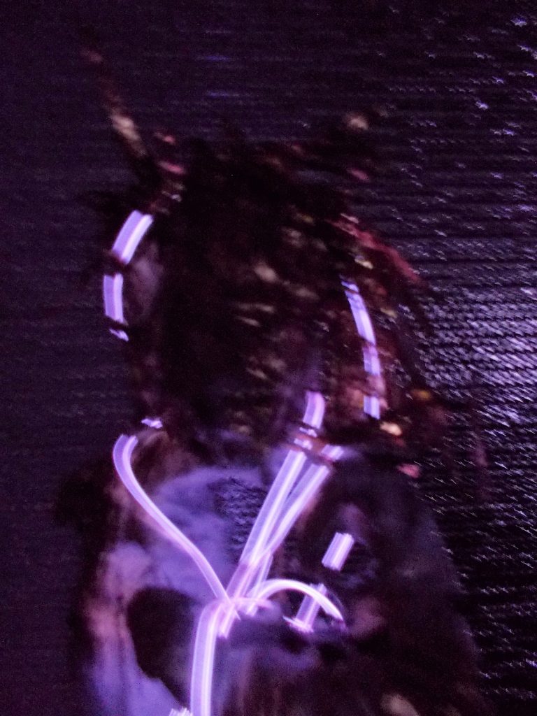 SUSAN PELISH – SOUTH FLORIDA ARTIST