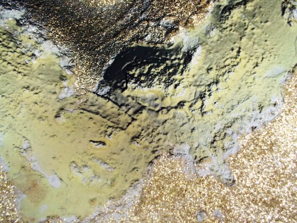 SUSAN PELISH – SOUTH FLORIDA ARTIST