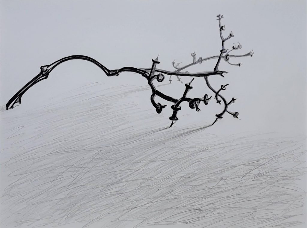 SUSAN PELISH – SOUTH FLORIDA ARTIST