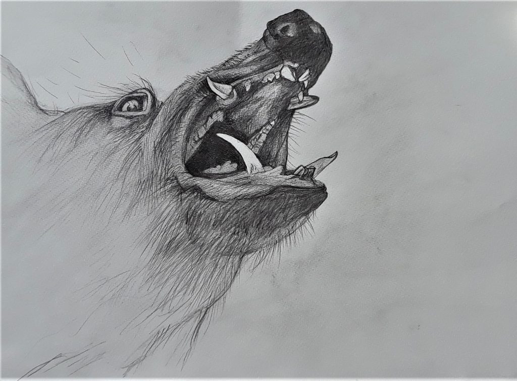 SUSAN PELISH – SOUTH FLORIDA ARTIST