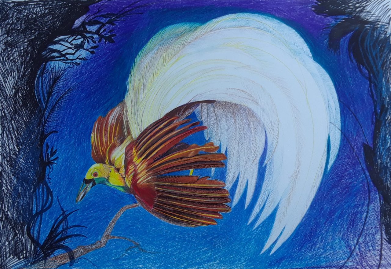 SUSAN PELISH – SOUTH FLORIDA ARTIST