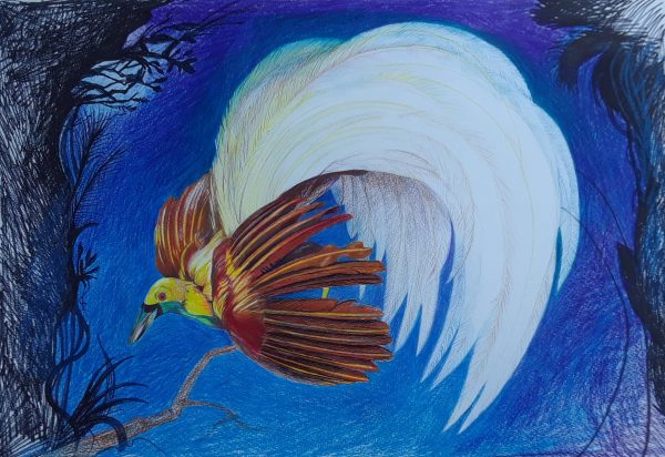 BIRD OF PARADISE