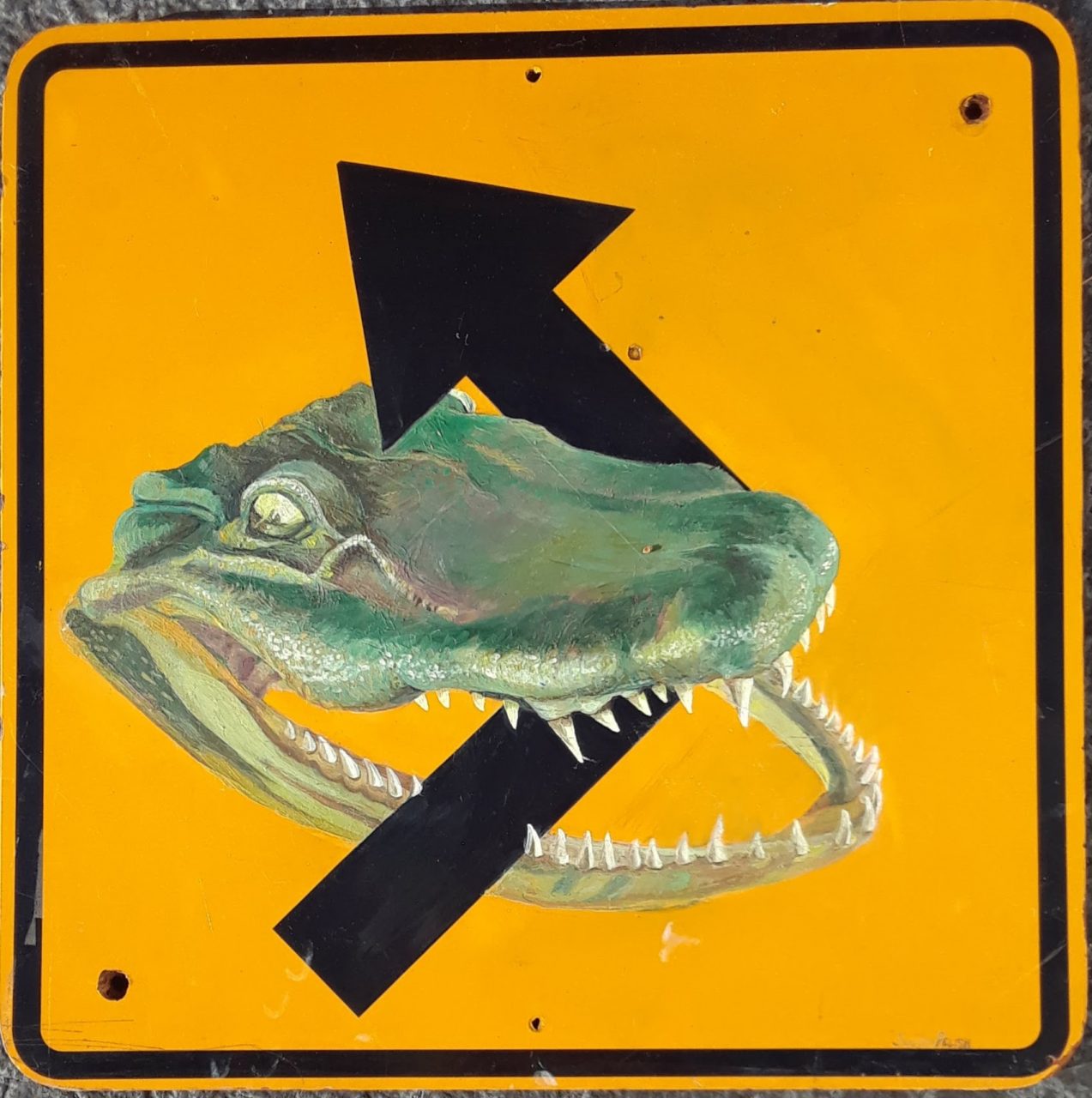 SUSAN PELISH – SOUTH FLORIDA ARTIST