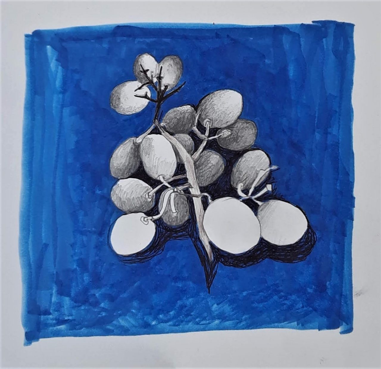 SUSAN PELISH – SOUTH FLORIDA ARTIST