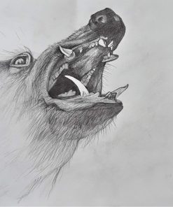 BOCA BOAR