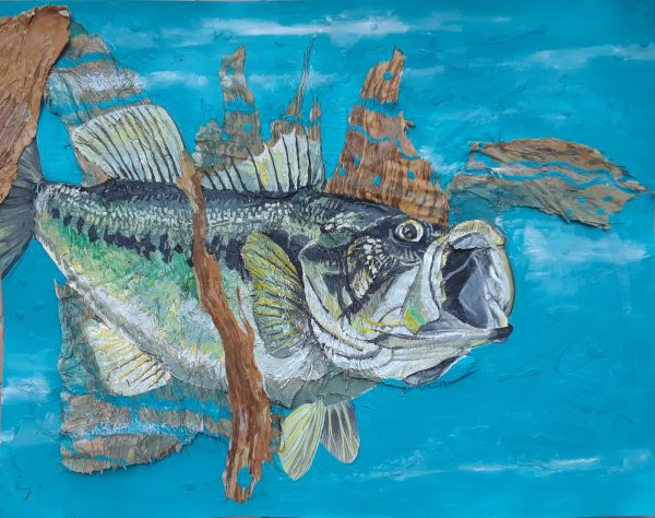 LARGE MOUTH BASS WITH MALALEUCA BARK