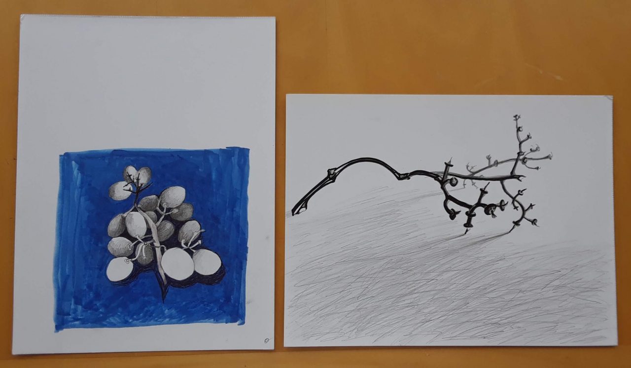 SUSAN PELISH – SOUTH FLORIDA ARTIST