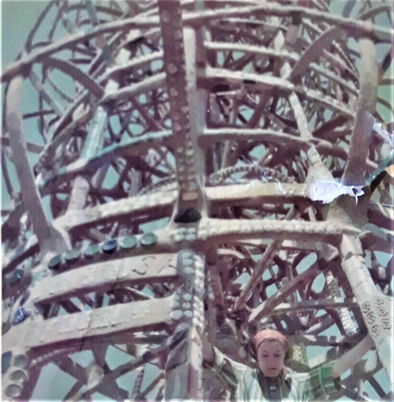 SUSAN PELISH – SOUTH FLORIDA ARTIST