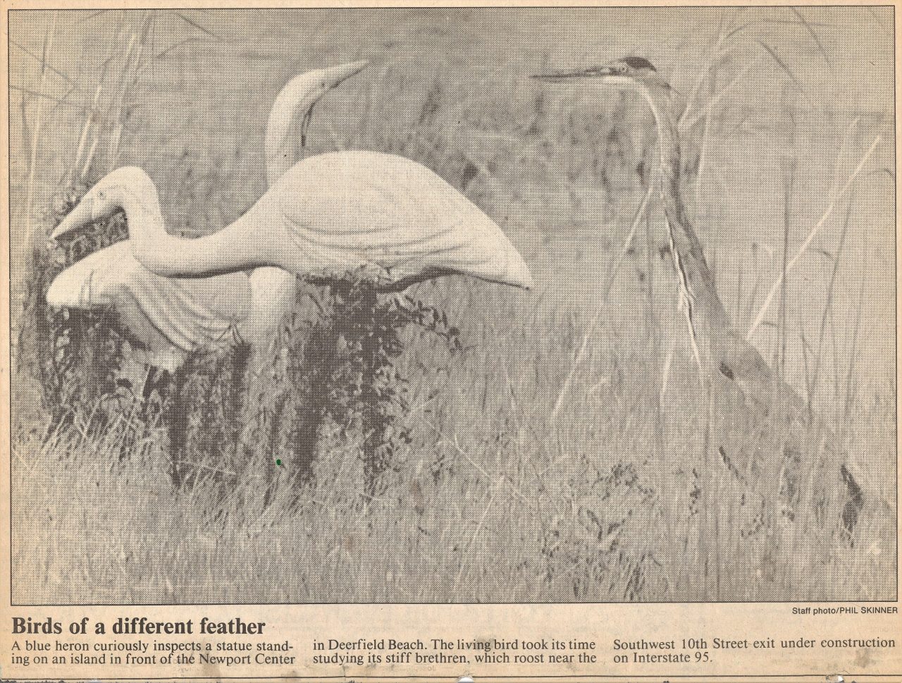 SUSAN PELISH – SOUTH FLORIDA ARTIST