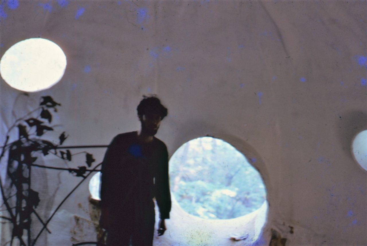 SUSAN PELISH – SOUTH FLORIDA ARTIST