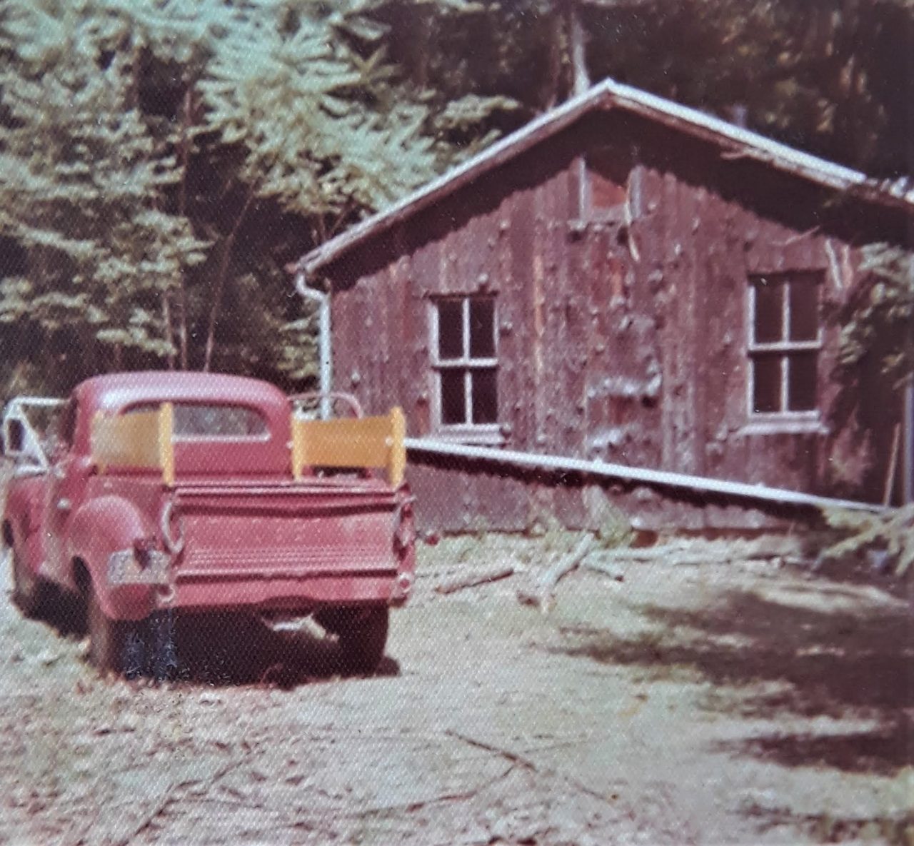 SUSAN PELISH – SOUTH FLORIDA ARTIST