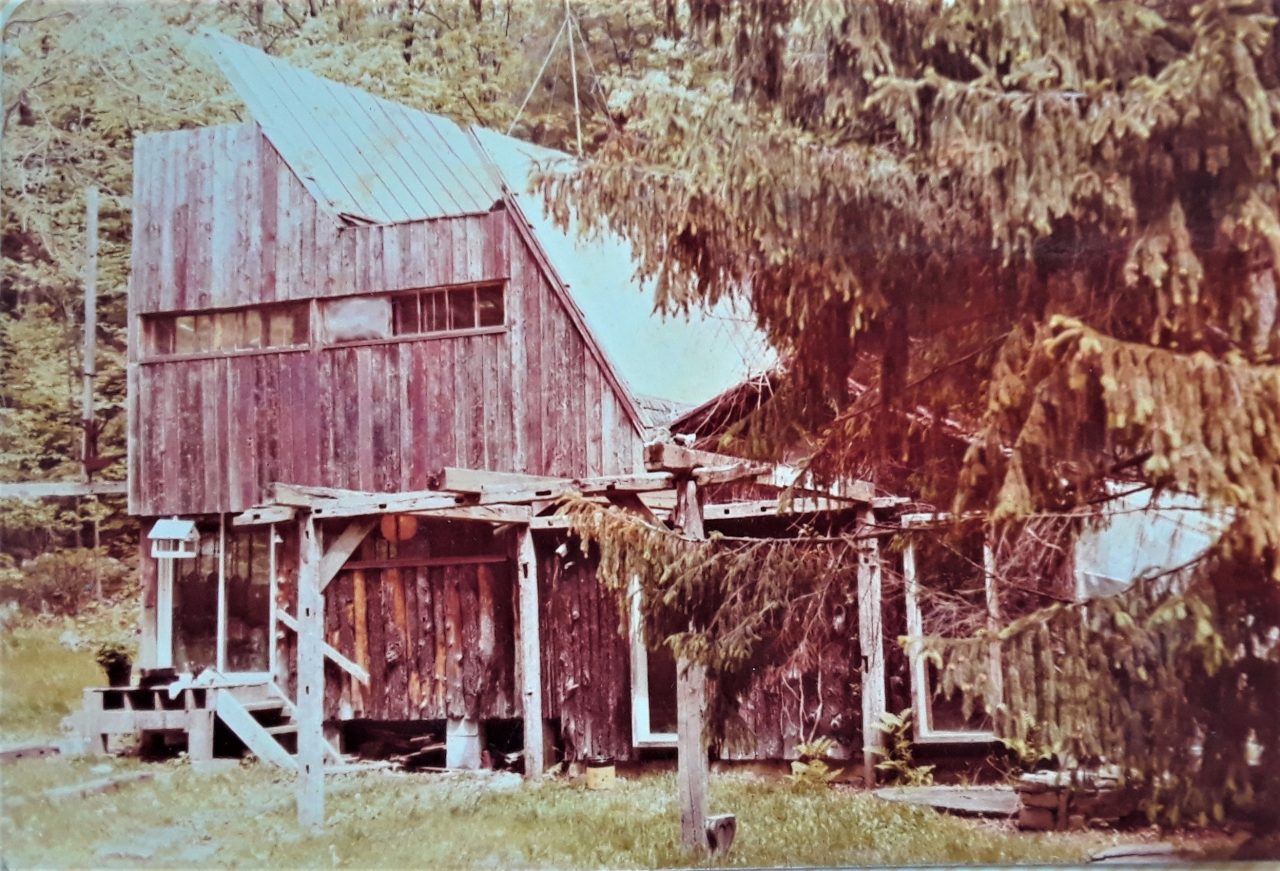 SUSAN PELISH – SOUTH FLORIDA ARTIST