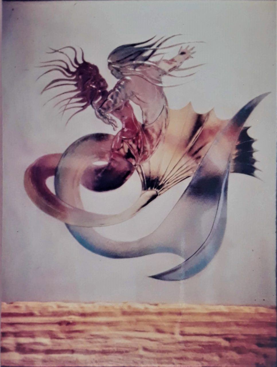 SUSAN PELISH – SOUTH FLORIDA ARTIST