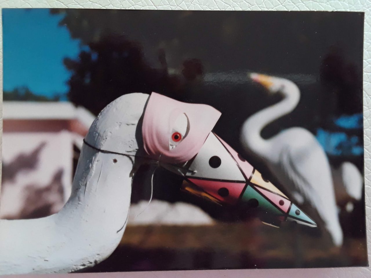 SUSAN PELISH – SOUTH FLORIDA ARTIST