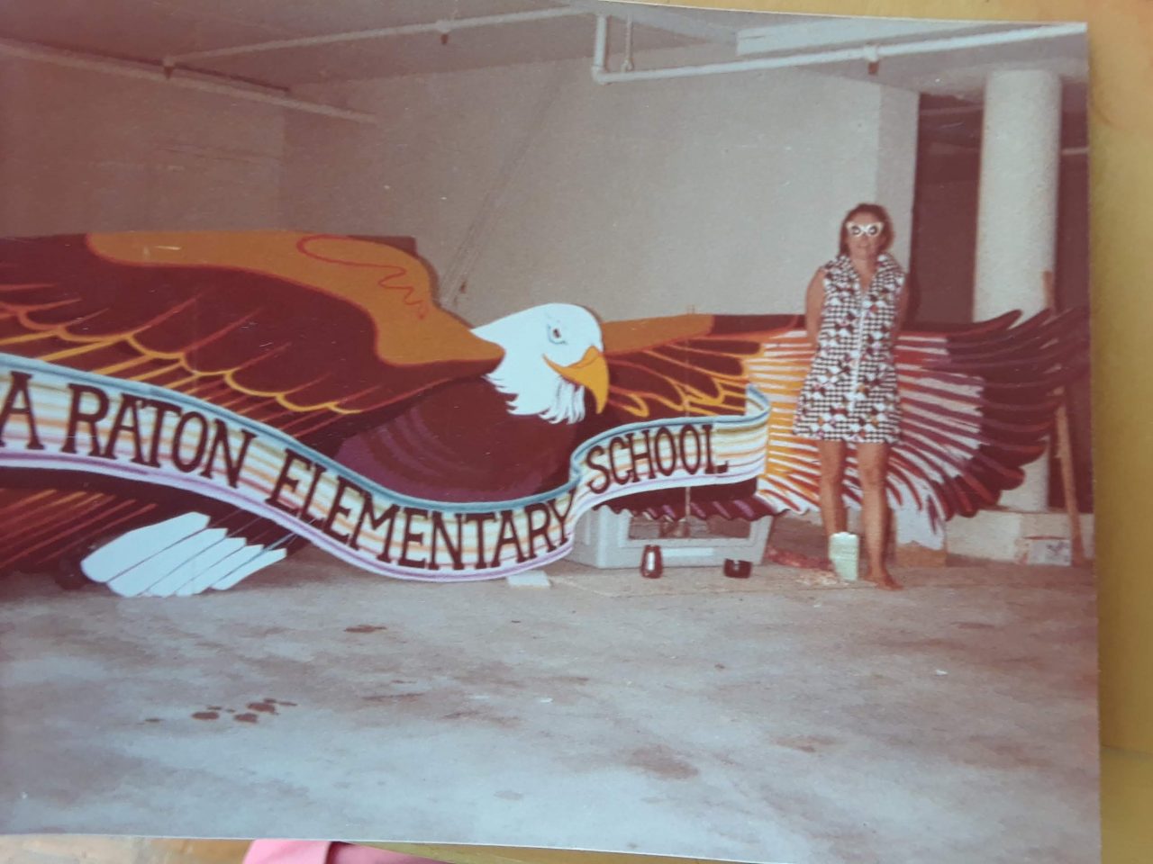 SUSAN PELISH – SOUTH FLORIDA ARTIST