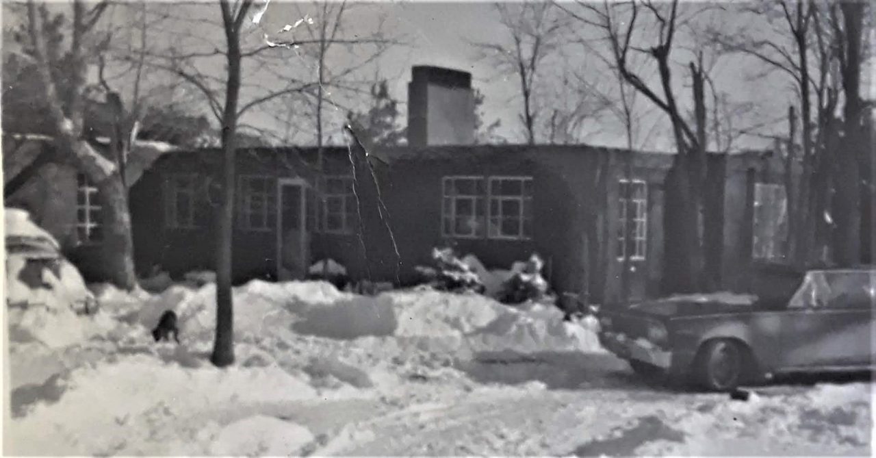 SUSAN PELISH – SOUTH FLORIDA ARTIST