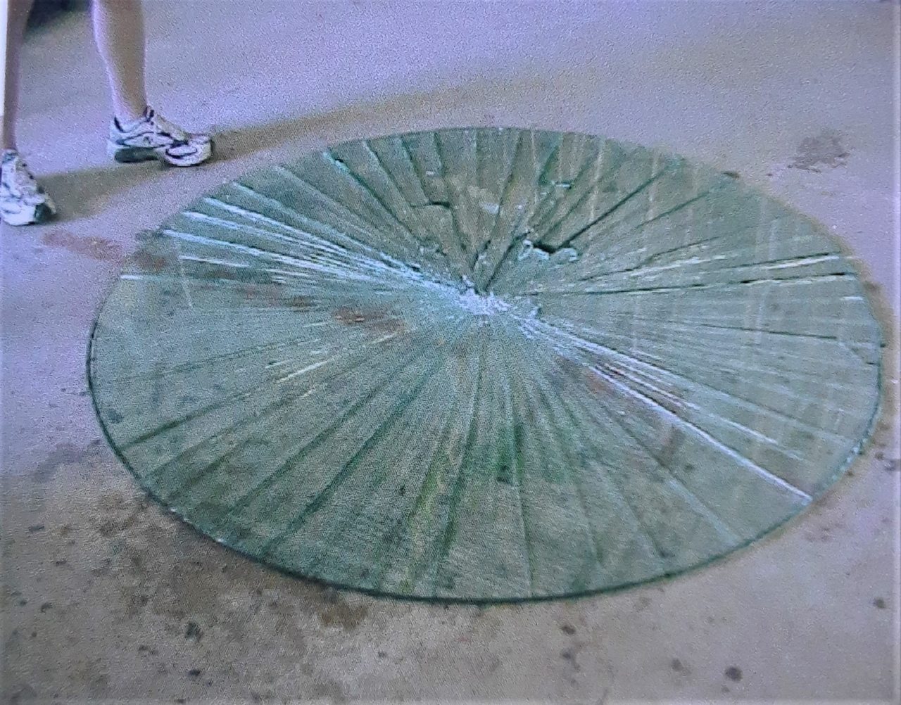 SUSAN PELISH – SOUTH FLORIDA ARTIST