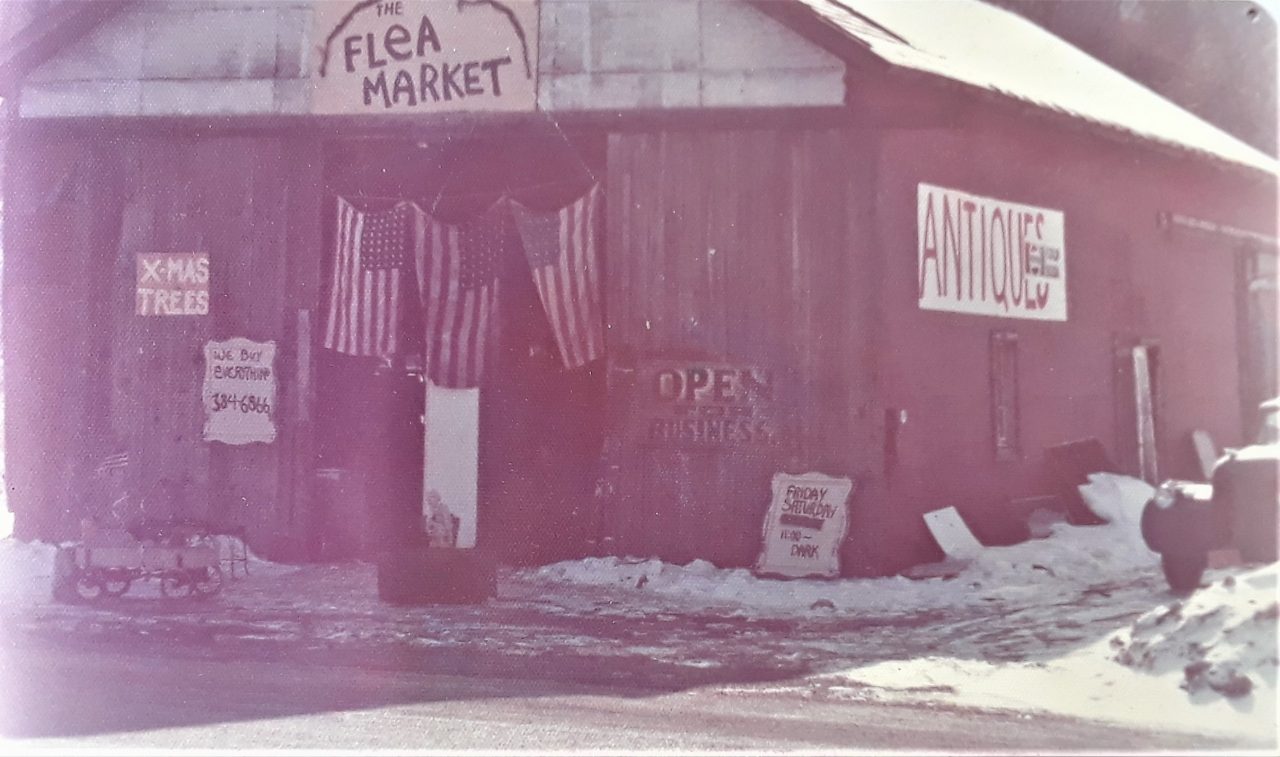 SUSAN PELISH – SOUTH FLORIDA ARTIST