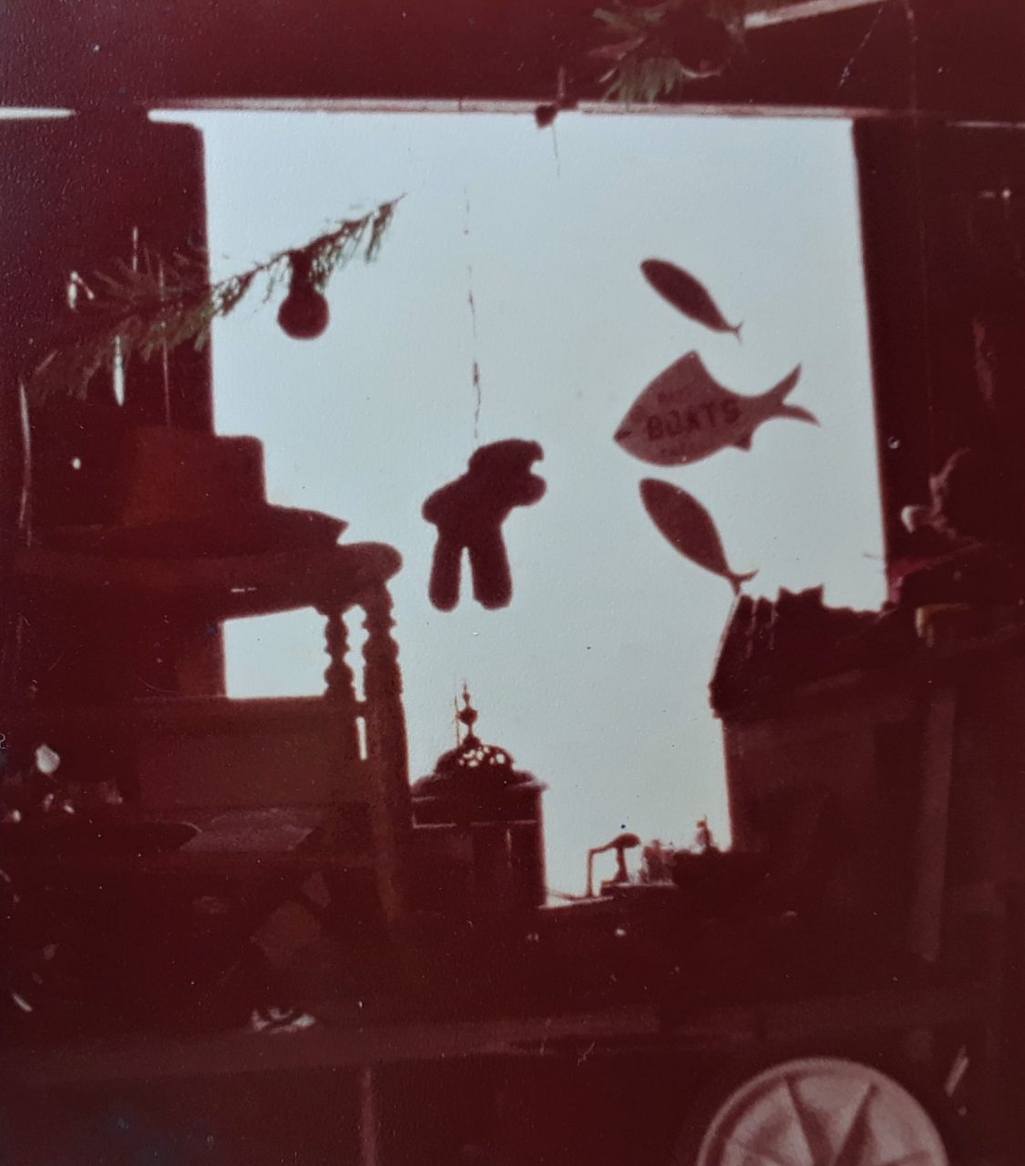 SUSAN PELISH – SOUTH FLORIDA ARTIST