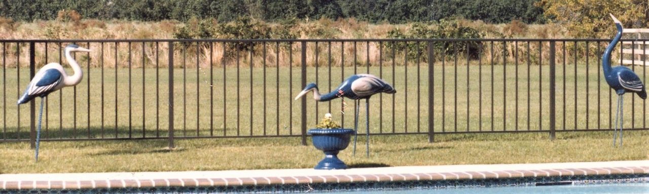 SUSAN PELISH – SOUTH FLORIDA ARTIST