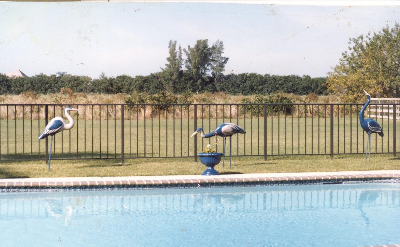 SUSAN PELISH – SOUTH FLORIDA ARTIST