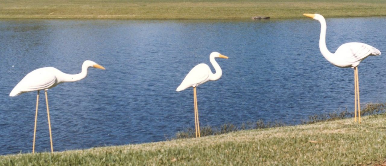 SUSAN PELISH – SOUTH FLORIDA ARTIST