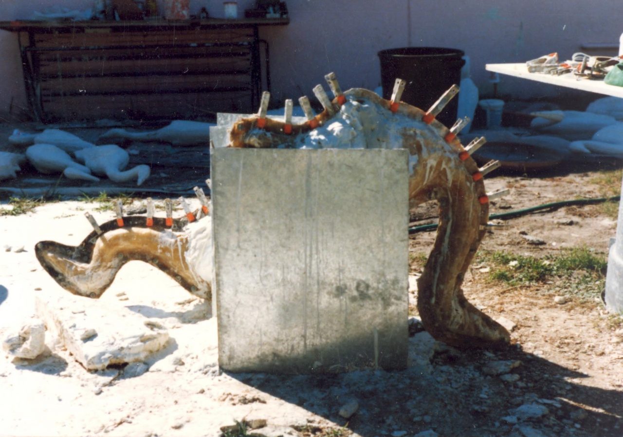 SUSAN PELISH – SOUTH FLORIDA ARTIST