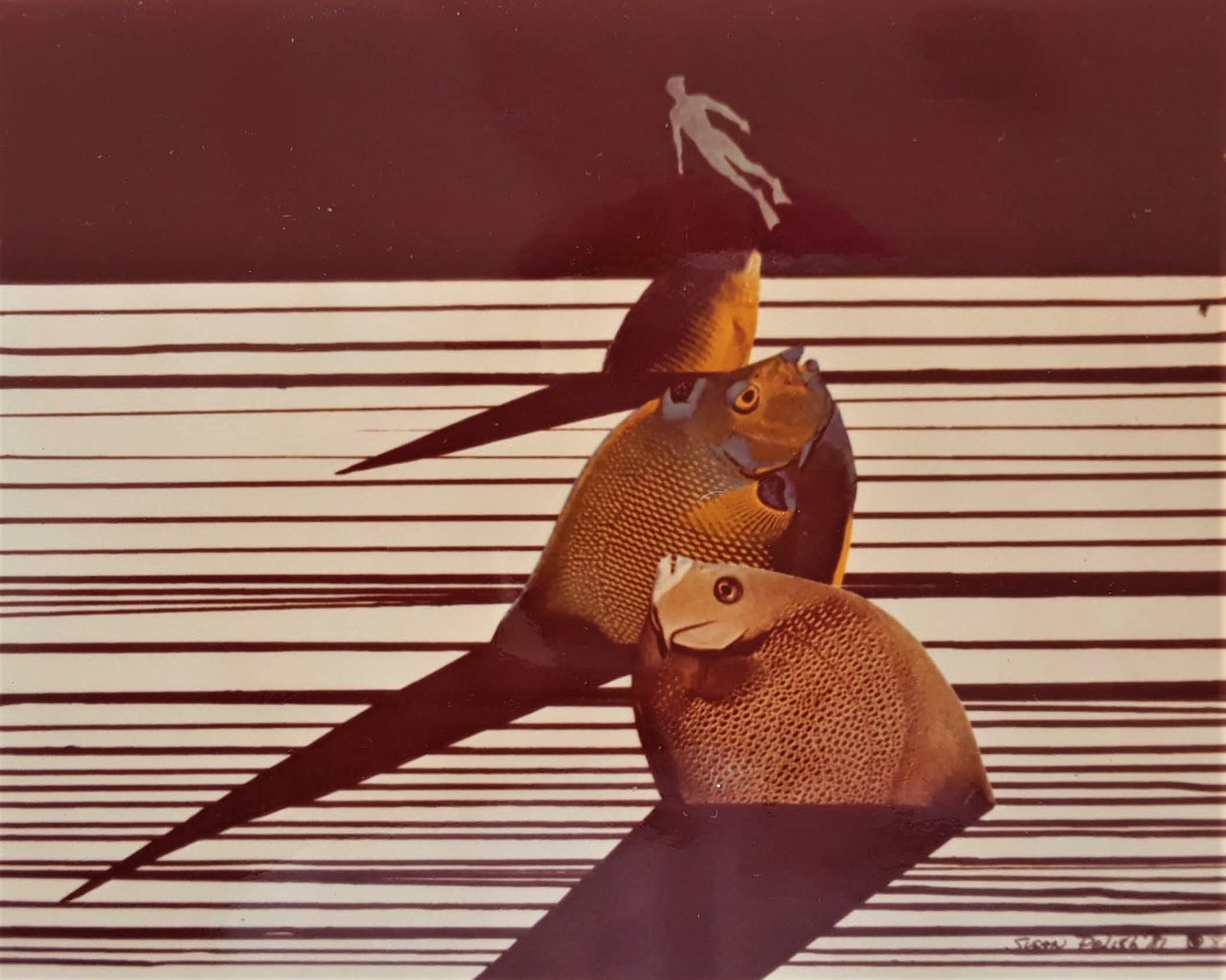 SUSAN PELISH – SOUTH FLORIDA ARTIST