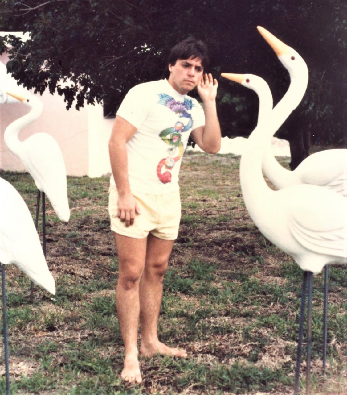 SUSAN PELISH – SOUTH FLORIDA ARTIST