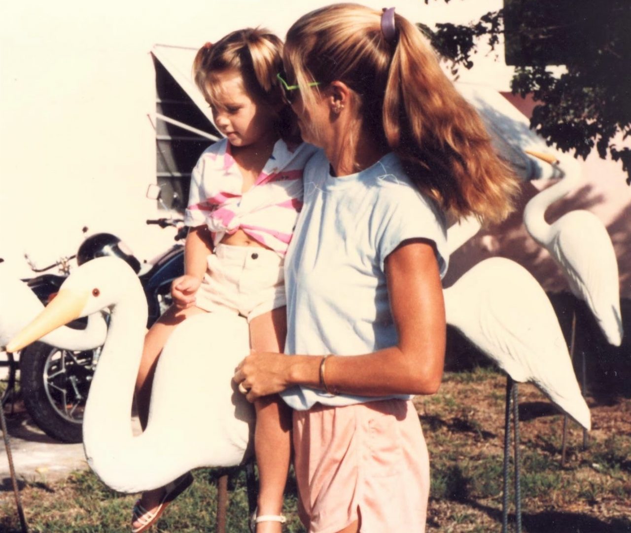 SUSAN PELISH – SOUTH FLORIDA ARTIST