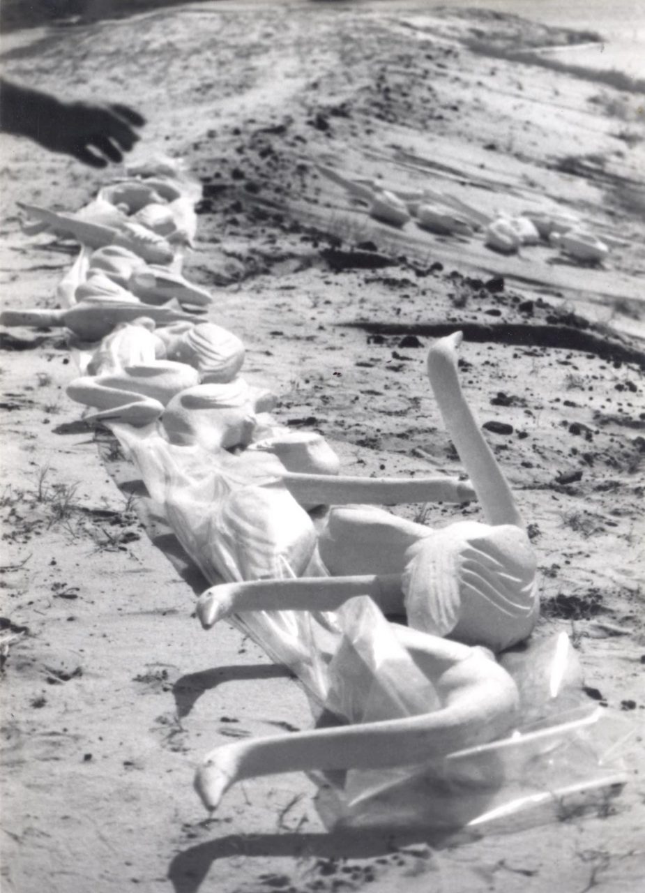 SUSAN PELISH – SOUTH FLORIDA ARTIST