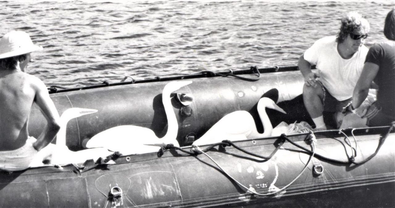 SUSAN PELISH – SOUTH FLORIDA ARTIST