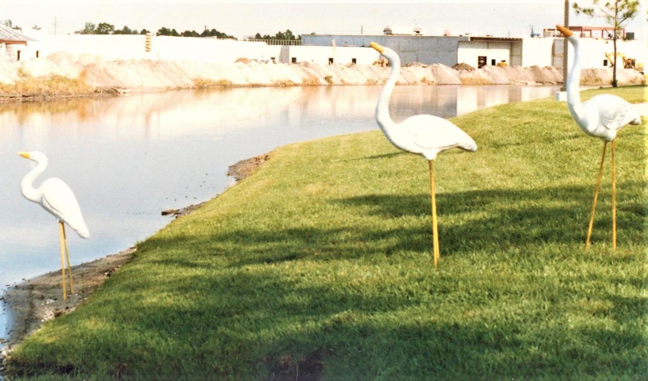 SUSAN PELISH – SOUTH FLORIDA ARTIST