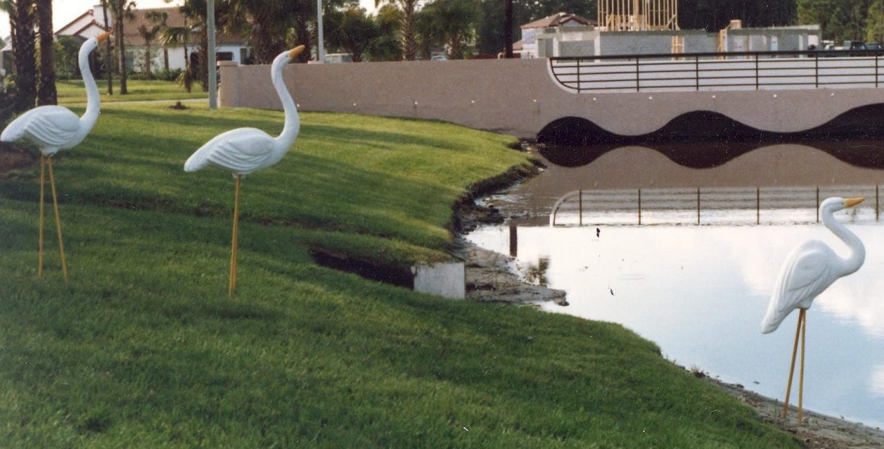 SUSAN PELISH – SOUTH FLORIDA ARTIST