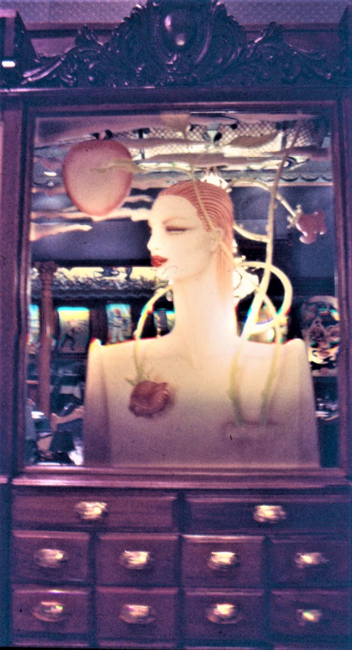 SUSAN PELISH – SOUTH FLORIDA ARTIST